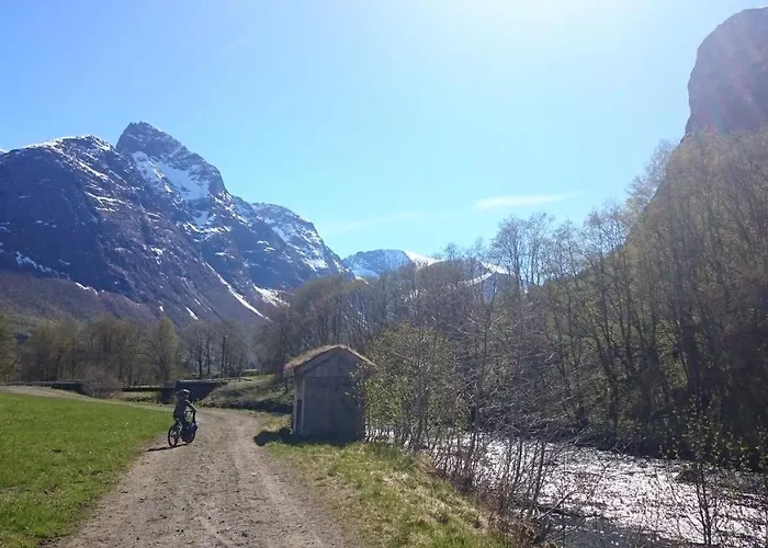 Lensmansgarden Fjøsen Leilighet *